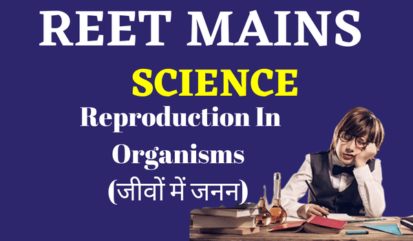 REET Mains Exam - Science Reproduction In Organisms